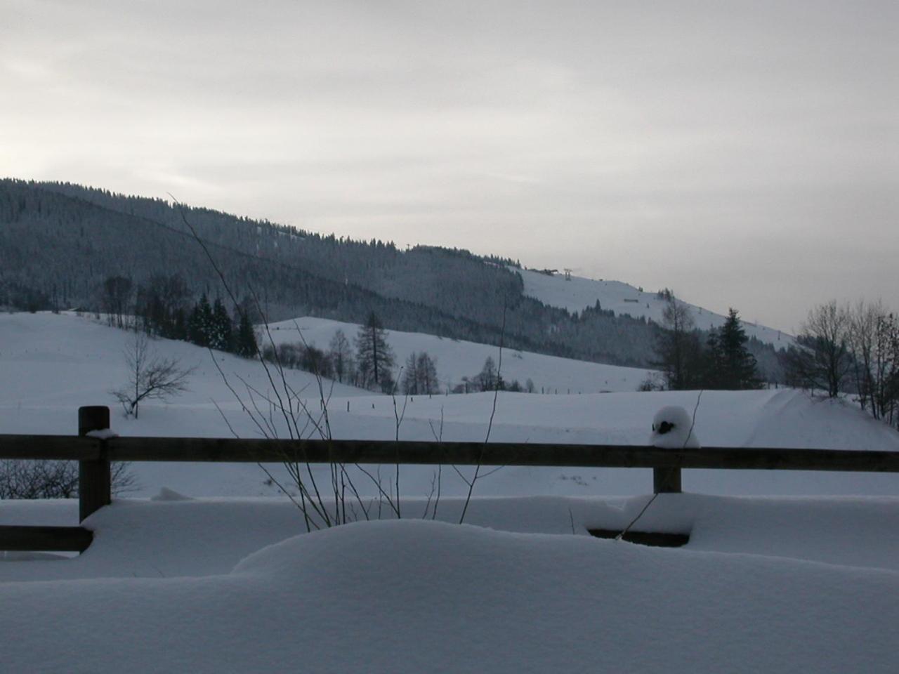 Gourmet-Hotel Gruenwald Leogang Exterior foto